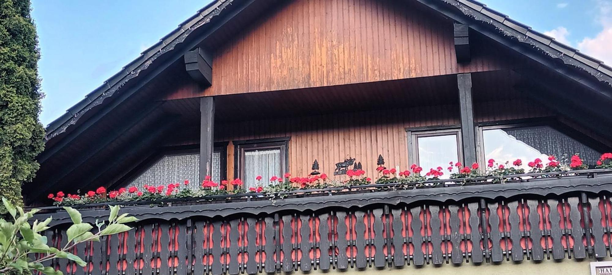 Haus Kalli Walkenried Exterior foto
